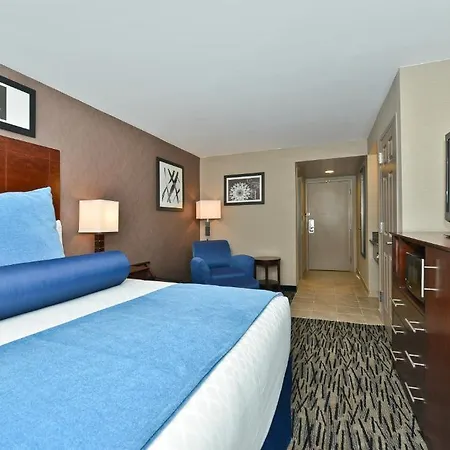 Wyndham Garden Elk Grove Village - O'Hare Habitación foto