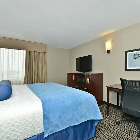 Wyndham Garden Elk Grove Village - O'Hare Habitación foto